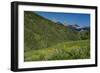 USA, Wyoming. Geranium and arrowleaf balsamroot wildflowers in meadow west side of Teton Mountains-Howie Garber-Framed Photographic Print