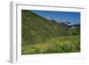 USA, Wyoming. Geranium and arrowleaf balsamroot wildflowers in meadow west side of Teton Mountains-Howie Garber-Framed Photographic Print