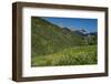 USA, Wyoming. Geranium and arrowleaf balsamroot wildflowers in meadow west side of Teton Mountains-Howie Garber-Framed Photographic Print