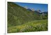 USA, Wyoming. Geranium and arrowleaf balsamroot wildflowers in meadow west side of Teton Mountains-Howie Garber-Framed Photographic Print