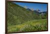 USA, Wyoming. Geranium and arrowleaf balsamroot wildflowers in meadow west side of Teton Mountains-Howie Garber-Framed Photographic Print