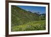 USA, Wyoming. Geranium and arrowleaf balsamroot wildflowers in meadow west side of Teton Mountains-Howie Garber-Framed Photographic Print