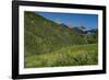 USA, Wyoming. Geranium and arrowleaf balsamroot wildflowers in meadow west side of Teton Mountains-Howie Garber-Framed Photographic Print