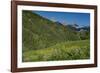 USA, Wyoming. Geranium and arrowleaf balsamroot wildflowers in meadow west side of Teton Mountains-Howie Garber-Framed Photographic Print