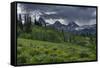 USA, Wyoming. Geranium and arrowleaf balsamroot wildflowers in meadow, west side of Teton Mountains-Howie Garber-Framed Stretched Canvas