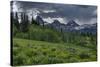 USA, Wyoming. Geranium and arrowleaf balsamroot wildflowers in meadow, west side of Teton Mountains-Howie Garber-Stretched Canvas