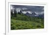 USA, Wyoming. Geranium and arrowleaf balsamroot wildflowers in meadow, west side of Teton Mountains-Howie Garber-Framed Photographic Print