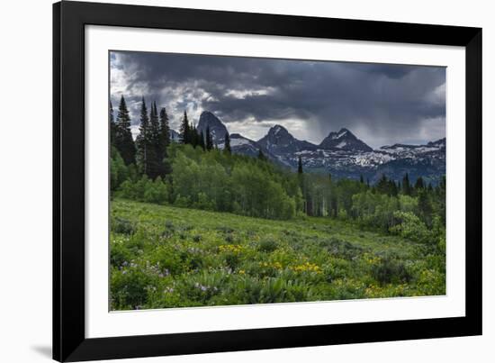 USA, Wyoming. Geranium and arrowleaf balsamroot wildflowers in meadow, west side of Teton Mountains-Howie Garber-Framed Photographic Print