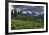 USA, Wyoming. Geranium and arrowleaf balsamroot wildflowers in meadow, west side of Teton Mountains-Howie Garber-Framed Photographic Print