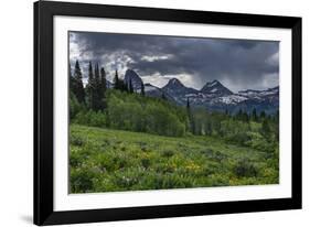 USA, Wyoming. Geranium and arrowleaf balsamroot wildflowers in meadow, west side of Teton Mountains-Howie Garber-Framed Photographic Print