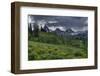 USA, Wyoming. Geranium and arrowleaf balsamroot wildflowers in meadow, west side of Teton Mountains-Howie Garber-Framed Photographic Print