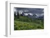 USA, Wyoming. Geranium and arrowleaf balsamroot wildflowers in meadow, west side of Teton Mountains-Howie Garber-Framed Photographic Print