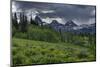 USA, Wyoming. Geranium and arrowleaf balsamroot wildflowers in meadow, west side of Teton Mountains-Howie Garber-Mounted Photographic Print