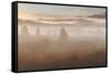 USA, Wyoming, Grand Teton National Park. Foggy sunrise on landscape.-Jaynes Gallery-Framed Stretched Canvas