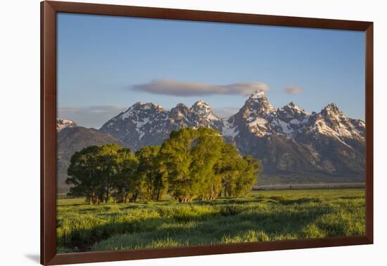 USA, Wyoming, Grand Teton National Park, Grand Tetons in the springtime.-Elizabeth Boehm-Framed Photographic Print