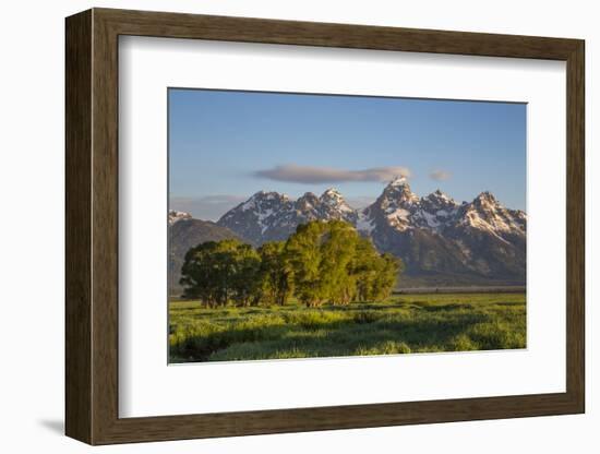 USA, Wyoming, Grand Teton National Park, Grand Tetons in the springtime.-Elizabeth Boehm-Framed Photographic Print