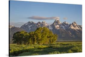 USA, Wyoming, Grand Teton National Park, Grand Tetons in the springtime.-Elizabeth Boehm-Stretched Canvas