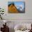 USA, Wyoming, Grand Teton National Park, Jackson, Barn roof in early morning-Elizabeth Boehm-Mounted Premium Photographic Print displayed on a wall