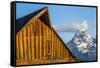 USA, Wyoming, Grand Teton National Park, Jackson, Barn roof in early morning-Elizabeth Boehm-Framed Stretched Canvas