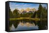 USA, Wyoming, Grand Teton National Park, reflections-George Theodore-Framed Stretched Canvas
