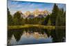 USA, Wyoming, Grand Teton National Park, reflections-George Theodore-Mounted Photographic Print