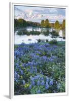 USA, Wyoming. Grand Teton National Park, Tetons, flowers foreground-George Theodore-Framed Premium Photographic Print