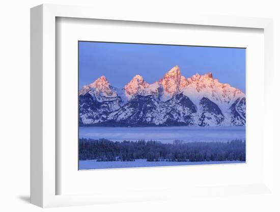 USA, Wyoming. Grand Teton National Park, winter landscape-George Theodore-Framed Photographic Print