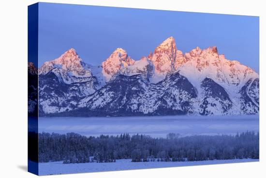 USA, Wyoming. Grand Teton National Park, winter landscape-George Theodore-Stretched Canvas