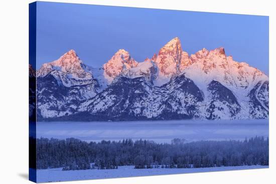 USA, Wyoming. Grand Teton National Park, winter landscape-George Theodore-Stretched Canvas