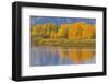 USA, Wyoming, Grand Teton NP. Autumn colored aspen trees are reflected in the Snake River-Elizabeth Boehm-Framed Photographic Print