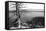 Usa, Wyoming, Grand Teton Np, Jenny Lake, Dead Tree (B&W)-Guy Crittenden-Framed Stretched Canvas