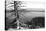 Usa, Wyoming, Grand Teton Np, Jenny Lake, Dead Tree (B&W)-Guy Crittenden-Stretched Canvas