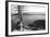 Usa, Wyoming, Grand Teton Np, Jenny Lake, Dead Tree (B&W)-Guy Crittenden-Framed Photographic Print