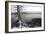 Usa, Wyoming, Grand Teton Np, Jenny Lake, Dead Tree (B&W)-Guy Crittenden-Framed Photographic Print