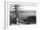 Usa, Wyoming, Grand Teton Np, Jenny Lake, Dead Tree (B&W)-Guy Crittenden-Framed Photographic Print