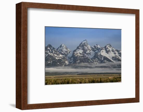 USA, Wyoming, Grand Teton NP. Morning fog and mountains.-Jaynes Gallery-Framed Photographic Print