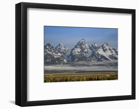 USA, Wyoming, Grand Teton NP. Morning fog and mountains.-Jaynes Gallery-Framed Photographic Print