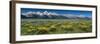 USA, Wyoming. Grand Teton Range and Arrowleaf Balsamroot wildflowers, Grand Teton National Park.-Judith Zimmerman-Framed Photographic Print