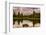 USA, Wyoming, Grand Teton's National Park Schwabacher Landing Sunrise-John Ford-Framed Photographic Print
