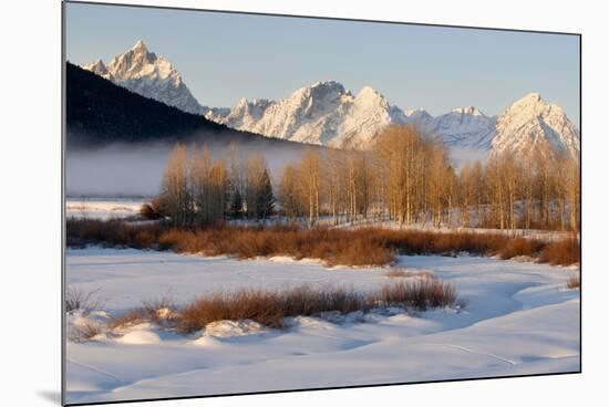 USA, Wyoming, Grand Tetons National Park. Oxbow Bend in Winter-Jaynes Gallery-Mounted Photographic Print