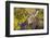 USA, Wyoming, Headshot of Cow and Calf Moose Nuzzling Each Other-Elizabeth Boehm-Framed Premium Photographic Print