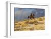 USA, Wyoming. Hideout Horse Ranch, wrangler on horseback in snow. (MR,PR)-Hollice Looney-Framed Photographic Print