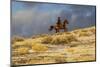 USA, Wyoming. Hideout Horse Ranch, wrangler on horseback in snow. (MR,PR)-Hollice Looney-Mounted Photographic Print