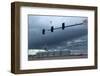 USA, Wyoming, Highway, Storm Clouds-Catharina Lux-Framed Photographic Print