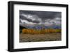 USA, Wyoming. Landscape of Golden Aspen Trees and snowy peaks, Grand Teton National Park-Howie Garber-Framed Photographic Print