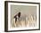 USA, Wyoming, Male Red Winged Blackbird Singing on Cattail Stalk-Elizabeth Boehm-Framed Premium Photographic Print