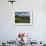 USA, Wyoming. Meadow filled with wildflowers in front of Grand Teton, Teton Mountains-Howie Garber-Framed Photographic Print displayed on a wall