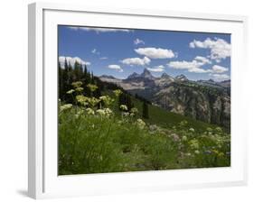 USA, Wyoming. Meadow filled with wildflowers in front of Grand Teton, Teton Mountains-Howie Garber-Framed Photographic Print