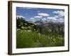 USA, Wyoming. Meadow filled with wildflowers in front of Grand Teton, Teton Mountains-Howie Garber-Framed Photographic Print