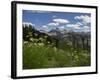 USA, Wyoming. Meadow filled with wildflowers in front of Grand Teton, Teton Mountains-Howie Garber-Framed Photographic Print